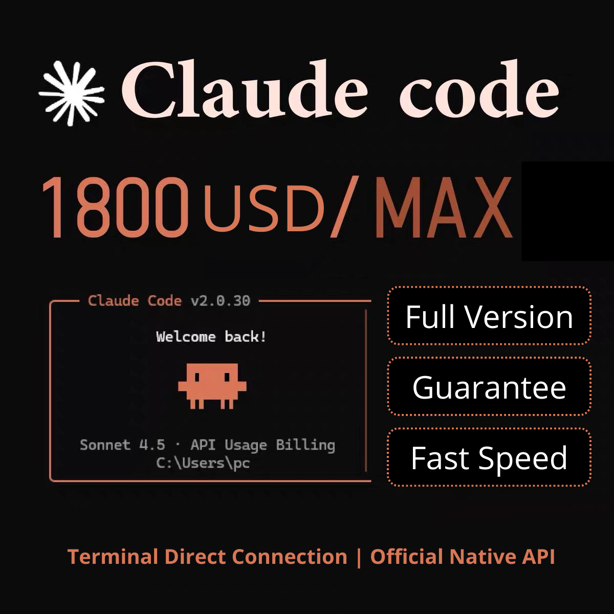 Claude Code Terminal